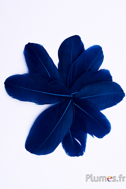 Pétales en plumes - 6-8 x 3-4 cm - bleu nuit